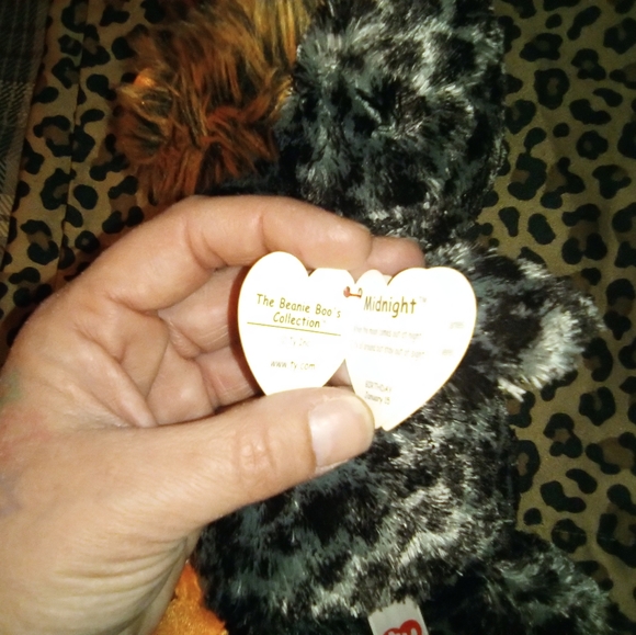 🦉 TY 10" 'Midnight' Owl🦉 - Picture 2 of 6